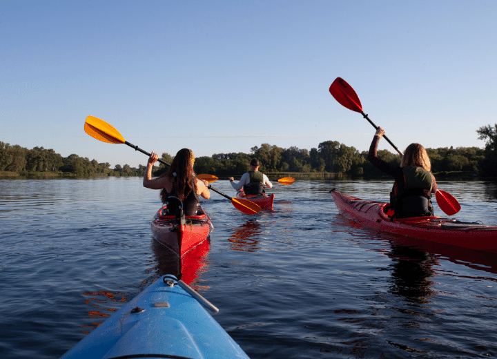 How Many Calories Do You Burn Kayaking